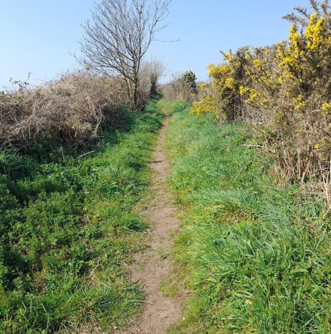 Corvus - Beautiful Cottage Half A Mile From Mousehole Penzance Bagian luar foto